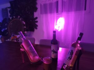 Soirée à thème chic organisée sur L’Île des Plaisirs