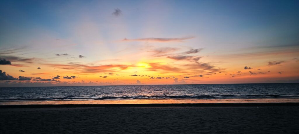 IMG-20240520-WA0181